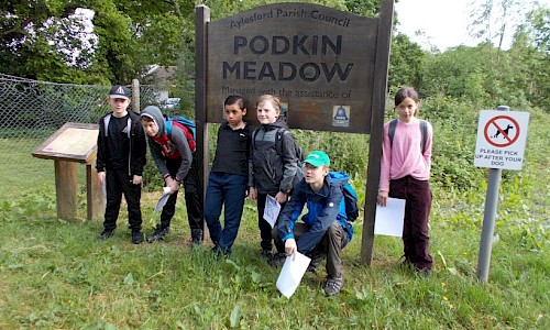 sea cadets summer sign photo